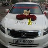 xe hoa 2 trai tim rong.jpg